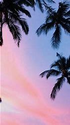 Image result for Palm Tree Wallpers iPhone
