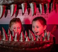 Image result for World's Largest Dinosaur Fossil