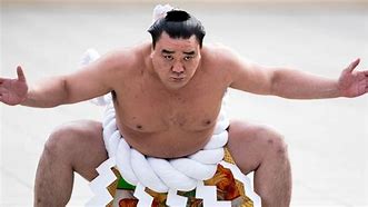 Image result for Current Sumo Champion