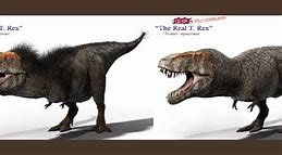 Image result for Big Carnivorous Dinosaurs