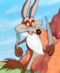 Image result for Road Runner and Coyote Pics