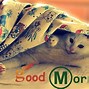 Image result for Good Morning Cute