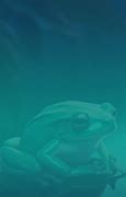 Image result for Frog and Toad Wallpaper