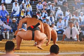 Image result for What Is an Oshi in Sumo Wrestling