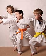 Image result for Boy Taekwondo Sparring Gear