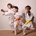 Image result for Tae Kwon Do Sparring Gear