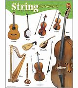 Image result for Different String Instruments