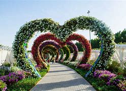 Image result for Dubai Flower Garden