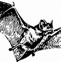 Image result for Tonal Drawing of Bat