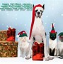 Image result for New Year Animals