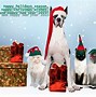 Image result for Happy New Year Images Funny Animals