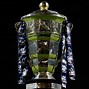 Image result for Professional Sports Trophy