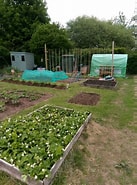 Image result for Allotments+'parish Council'. Size: 137 x 185. Source: www.wrockwardine.org.uk