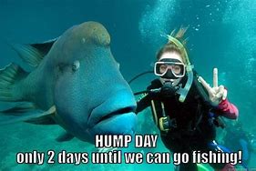 Image result for Hump Day Fish Meme