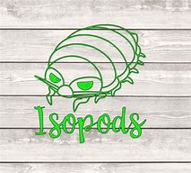 Image result for Isopod Logo