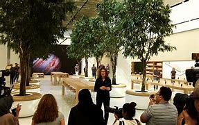 Image result for Apple Store Emirates Mall