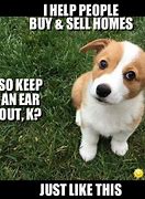 Image result for Funny Real Estate Memes Baby