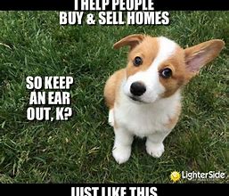 Image result for Funny Real Estate Agent Meme