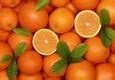 Image result for 1 Orange Fruit