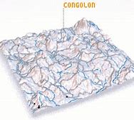 Image result for congolona