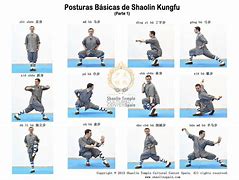 Image result for List of Shaolin Kung Fu Styles