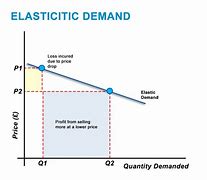 Image result for Highly Elastic Demand Curve