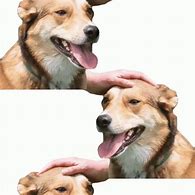 Image result for Good Boi Doggo Meme