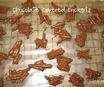 Image result for Chocolate Crickets