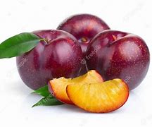 Image result for Purple Plum Fruit