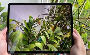 Image result for iPad Pro Gen 7 Camara