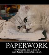 Image result for Person Looking at Paper Confused Meme