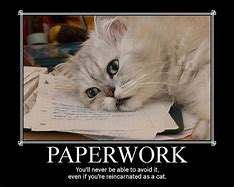 Image result for Work Memes Funny Job