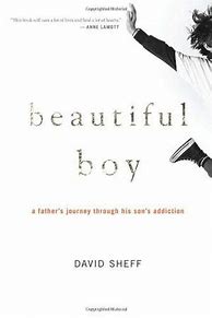 Image result for Life is Beautiful Book