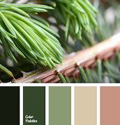 Image result for Green and Grey Color Scheme