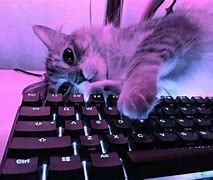 Image result for Cute iPad Air 4 Keyboard