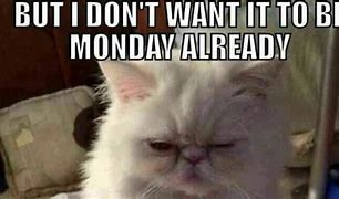 Image result for Monday in It Memes