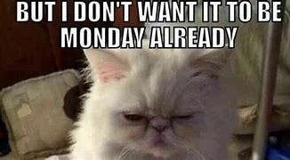 Image result for Happy Monday Funny Work