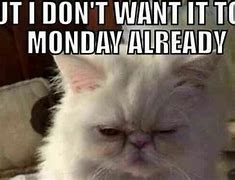 Image result for work memes monday