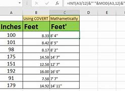 Image result for 6 Meters to Feet