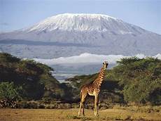 consolato tanzania tanzania quella terra strappata ai masai noi giovani consolato tanzania tanzania quella terra strappata ai masai noi giovani