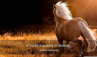 Image result for Horse Poems and Quotes