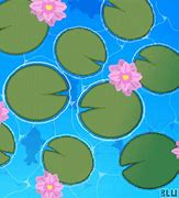 Image result for Lily Pad Wallpaper 4K