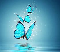 Image result for Butterfly Screensaver