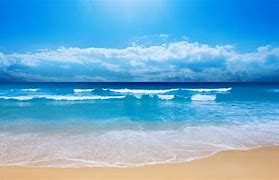 Image result for Ocean View Beach