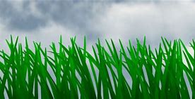 Image result for Grass Animation 2D