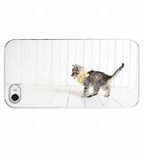 Image result for Cat Unlocks iPhone 5S