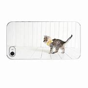 Image result for Cat Phone Cases iPhone 5S