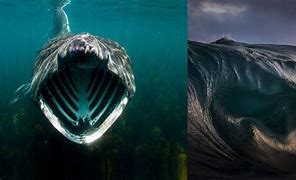 Image result for Fear of the Deep Ocean