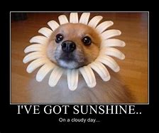 Image result for Happy Sunshine Day Meme