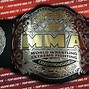 Image result for MMA Belt